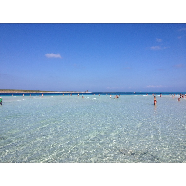 รูปถ่าย อิตาลี(Italy) ซาร์ดิเนีย(Sardinia) แหลมกาโปเดลฟัลโกเน(Capo del Falcone) 2015-06 72