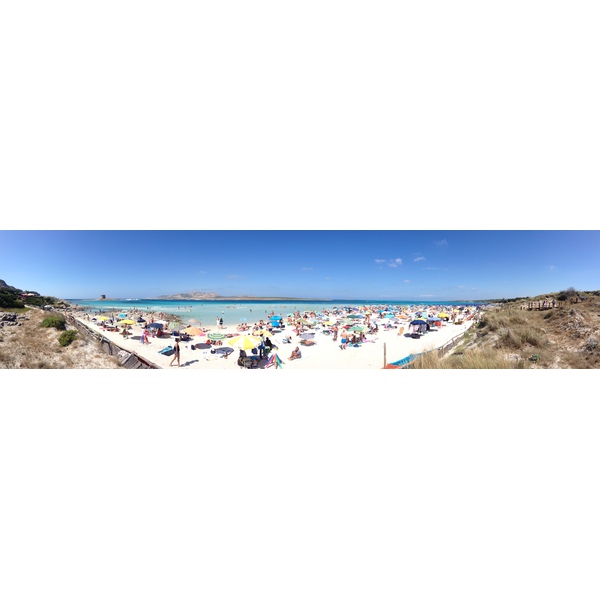 รูปถ่าย อิตาลี(Italy) ซาร์ดิเนีย(Sardinia) แหลมกาโปเดลฟัลโกเน(Capo del Falcone) 2015-06 10