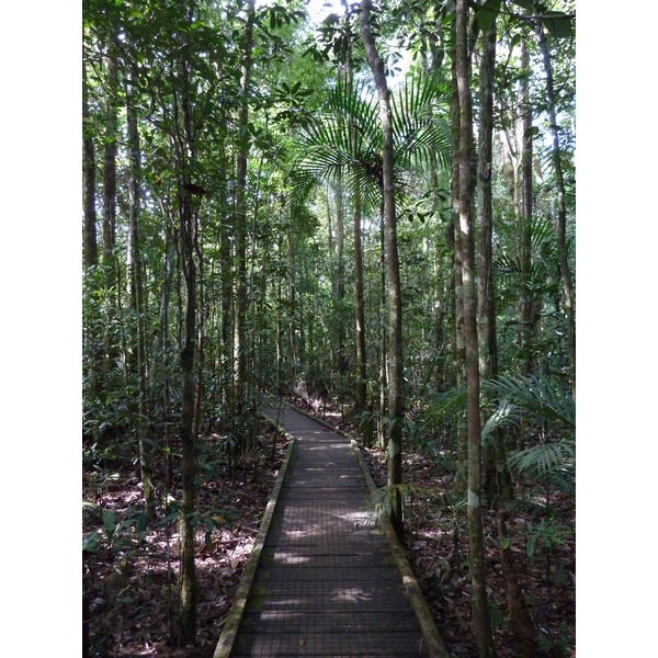 รูปถ่าย นิวแคลิโดเนีย(New Caledonia) อุทยานริเวียร์เบลอ(Parc de la Riviere Bleue) โรงแรมเลอกร็องกาโอรี(Le Grand Kaori) 2010-05 21