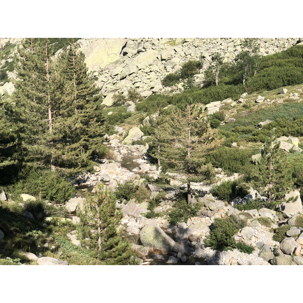 รูปถ่าย ฝรั่งเศส(France) คอร์สิคา(Corsica) หุบเขาลาเรสโตนีกา(La Restonica) 2020-07 20