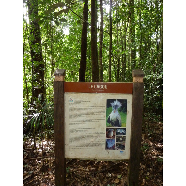 รูปถ่าย นิวแคลิโดเนีย(New Caledonia) อุทยานริเวียร์เบลอ(Parc de la Riviere Bleue) โรงแรมเลอกร็องกาโอรี(Le Grand Kaori) 2010-05 27