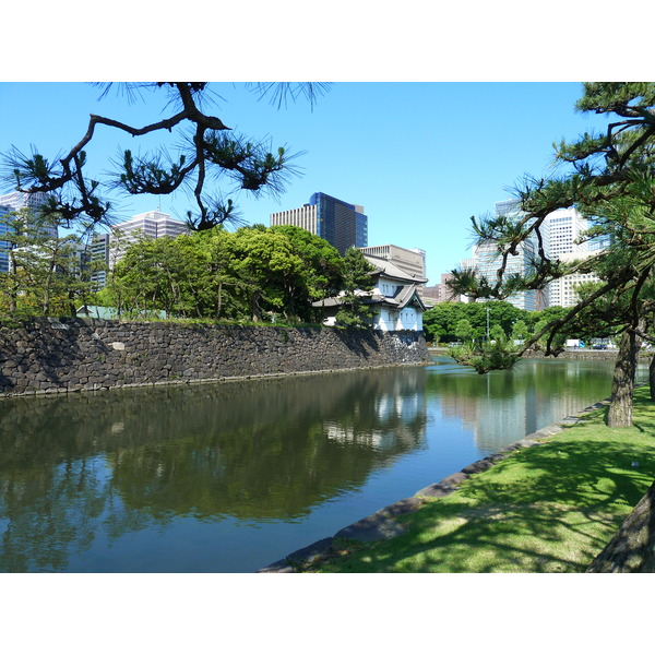 รูปถ่าย ญี่ปุ่น(Japan) โตเกียว(Tokyo) พระราชวังหลวง(Imperial Palace) 2010-06 31