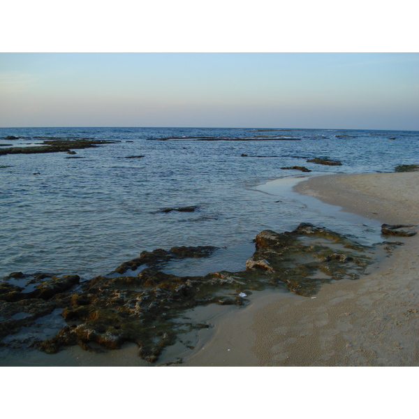 รูปถ่าย อิสราเอล(Israel) จากไฮฟาไปเทลอาวีฟ(From Haifa to Tel Aviv) 2006-12 77