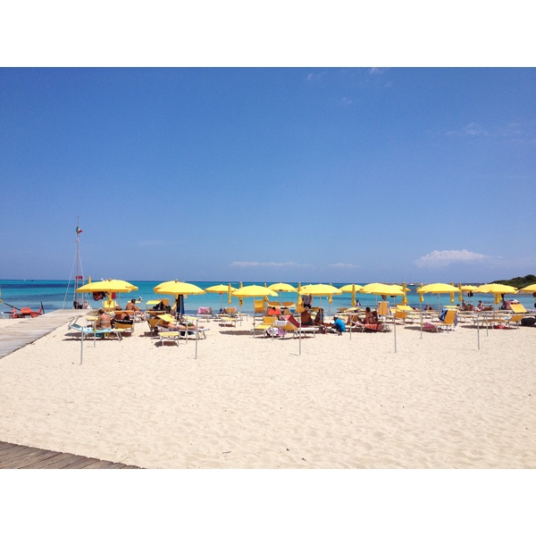 รูปถ่าย อิตาลี(Italy) ซาร์ดิเนีย(Sardinia) แหลมกาโปเดลฟัลโกเน(Capo del Falcone) 2015-06 21