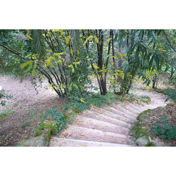รูปถ่าย อิตาลี(Italy) โรม(Rome) วิลลาชาร์รา(Villa Sciarra) 2007-11 36