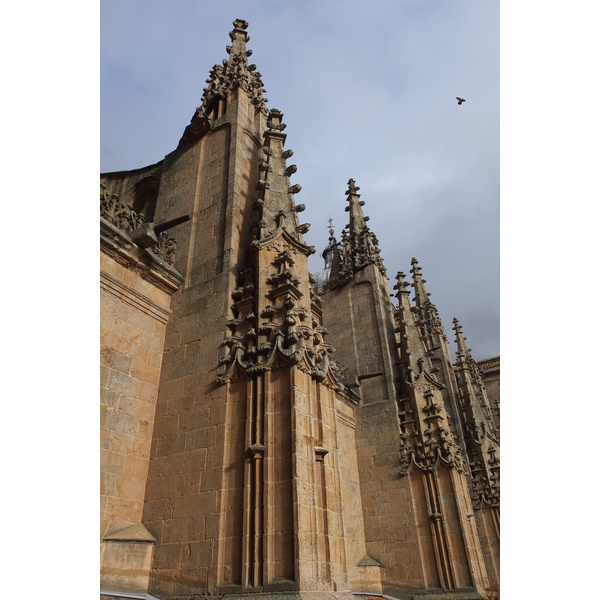 รูปถ่าย สเปน(Spain) ซาลามังกา(Salamanca) 2013-01 44