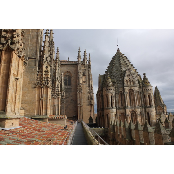รูปถ่าย สเปน(Spain) ซาลามังกา(Salamanca) 2013-01 112