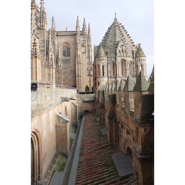 รูปถ่าย สเปน(Spain) ซาลามังกา(Salamanca) 2013-01 121