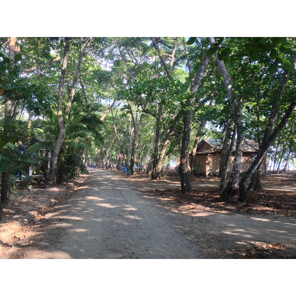 รูปถ่าย คอสตาริกา(Costa Rica) โดมินิกัล(Dominical) 2015-03 104