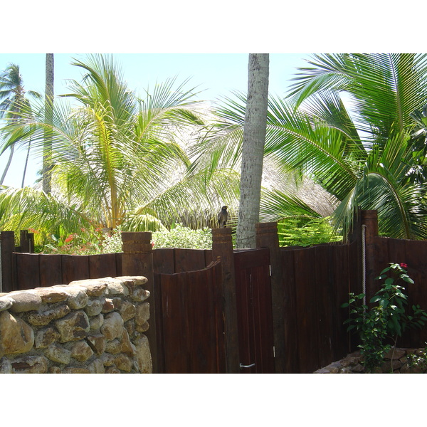 รูปถ่าย เฟรนช์โพลี่นีเซีย(Polynesia) มูเรีย(Moorea) โรงแรมเพิร์ลรีสอร์ต(Pearl Resort Hotel) 2006-04 11