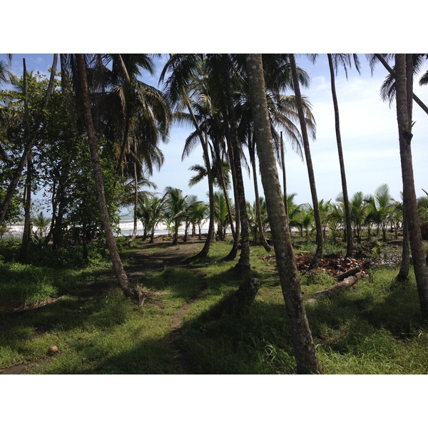 รูปถ่าย คอสตาริกา(Costa Rica) จากลีมอนไปซีกีร์เรส(Limon to Siquirres) 2015-03 43