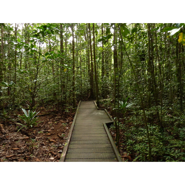 รูปถ่าย นิวแคลิโดเนีย(New Caledonia) อุทยานริเวียร์เบลอ(Parc de la Riviere Bleue) โรงแรมเลอกร็องกาโอรี(Le Grand Kaori) 2010-05 17