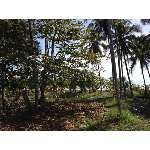 รูปถ่าย คอสตาริกา(Costa Rica) จากลีมอนไปซีกีร์เรส(Limon to Siquirres) 2015-03 1
