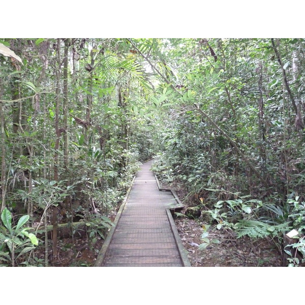 รูปถ่าย นิวแคลิโดเนีย(New Caledonia) อุทยานริเวียร์เบลอ(Parc de la Riviere Bleue) โรงแรมเลอกร็องกาโอรี(Le Grand Kaori) 2010-05 28