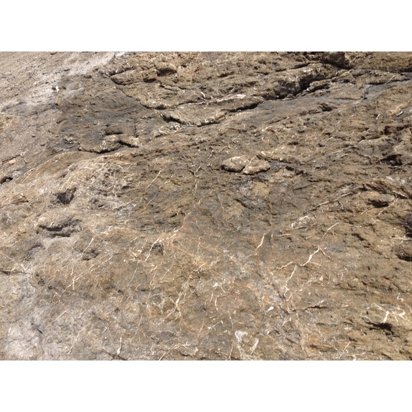 รูปถ่าย คอสตาริกา(Costa Rica) มอนเตซูมา(Montezuma) 2015-03 206