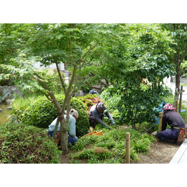 รูปถ่าย ญี่ปุ่น(Japan) เกียวโต(Kyoto) วัดซันจูซังเก็นโด(Sanjusangendo temple) 2010-06 12