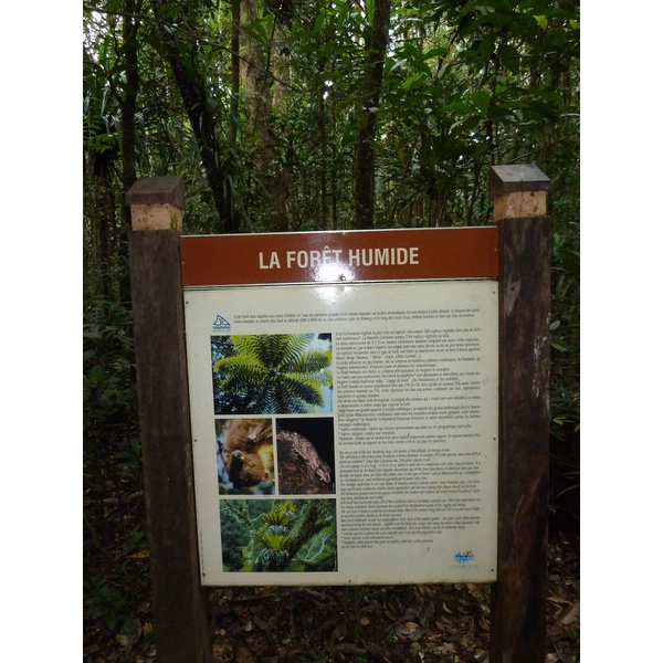 รูปถ่าย นิวแคลิโดเนีย(New Caledonia) อุทยานริเวียร์เบลอ(Parc de la Riviere Bleue) โรงแรมเลอกร็องกาโอรี(Le Grand Kaori) 2010-05 10