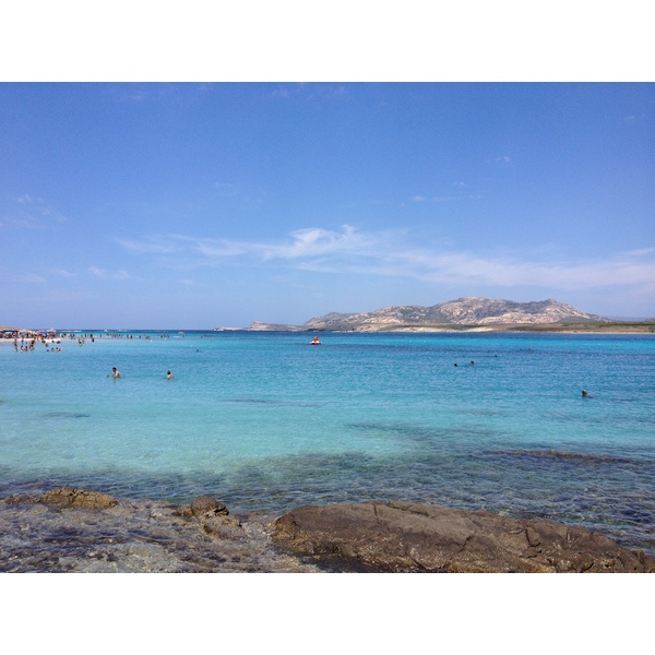 รูปถ่าย อิตาลี(Italy) ซาร์ดิเนีย(Sardinia) แหลมกาโปเดลฟัลโกเน(Capo del Falcone) 2015-06 20