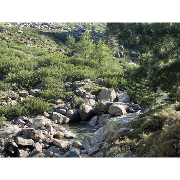 รูปถ่าย ฝรั่งเศส(France) คอร์สิคา(Corsica) หุบเขาลาเรสโตนีกา(La Restonica) 2020-07 19