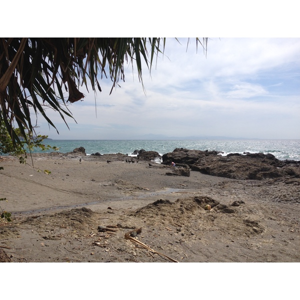 รูปถ่าย คอสตาริกา(Costa Rica) มอนเตซูมา(Montezuma) 2015-03 417