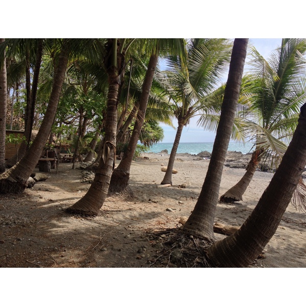รูปถ่าย คอสตาริกา(Costa Rica) มอนเตซูมา(Montezuma) 2015-03 405