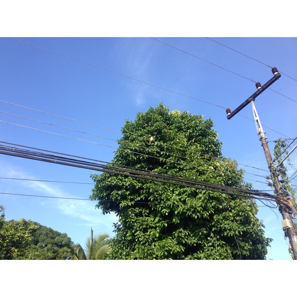 รูปถ่าย คอสตาริกา(Costa Rica) กาอุยตา(Cahuita) 2015-03 57