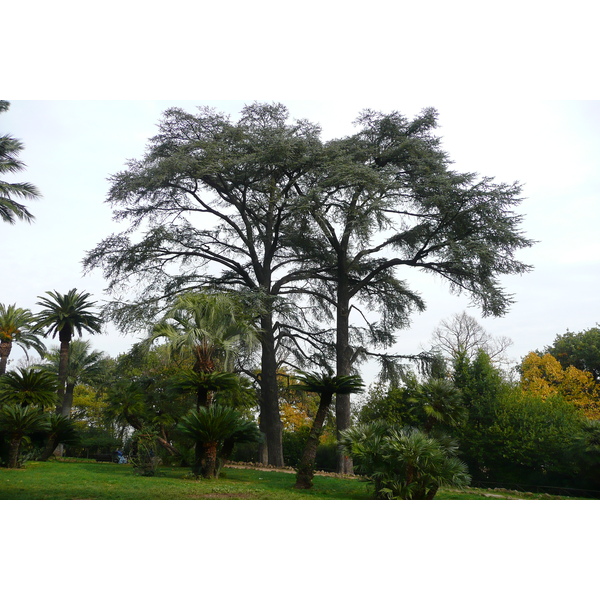 รูปถ่าย อิตาลี(Italy) โรม(Rome) วิลลาชาร์รา(Villa Sciarra) 2007-11 27