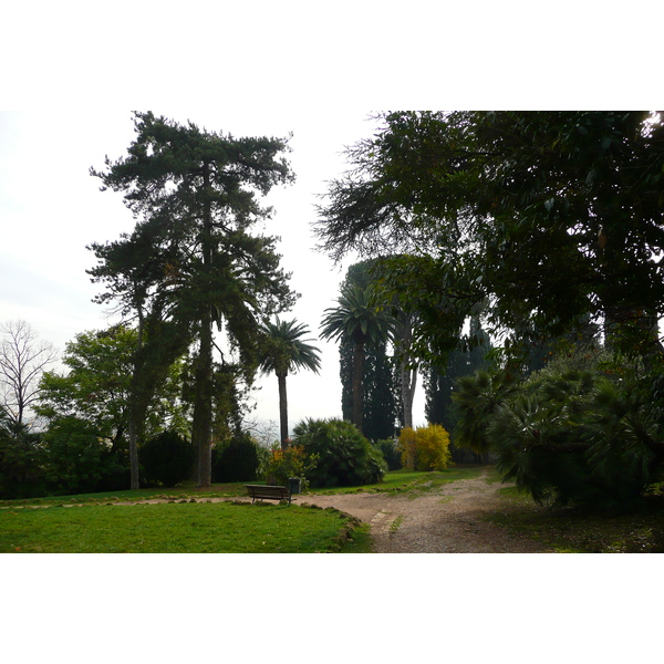 รูปถ่าย อิตาลี(Italy) โรม(Rome) วิลลาชาร์รา(Villa Sciarra) 2007-11 26