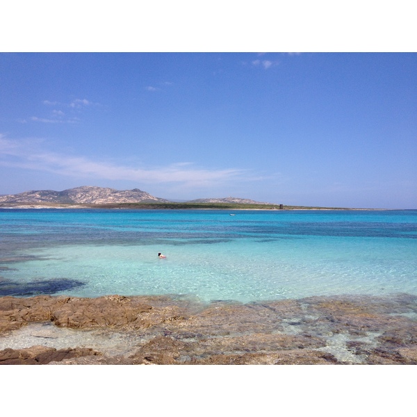 รูปถ่าย อิตาลี(Italy) ซาร์ดิเนีย(Sardinia) แหลมกาโปเดลฟัลโกเน(Capo del Falcone) 2015-06 6