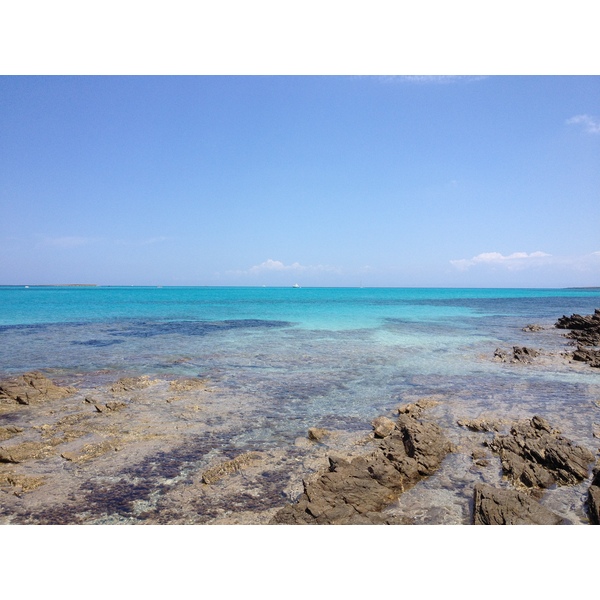 รูปถ่าย อิตาลี(Italy) ซาร์ดิเนีย(Sardinia) แหลมกาโปเดลฟัลโกเน(Capo del Falcone) 2015-06 1