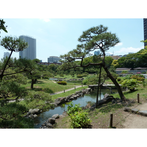 รูปถ่าย ญี่ปุ่น(Japan) โตเกียว(Tokyo) สวนคิวชิบะริคิว(Kyu Shiba rikyu Gardens) 2010-06 51