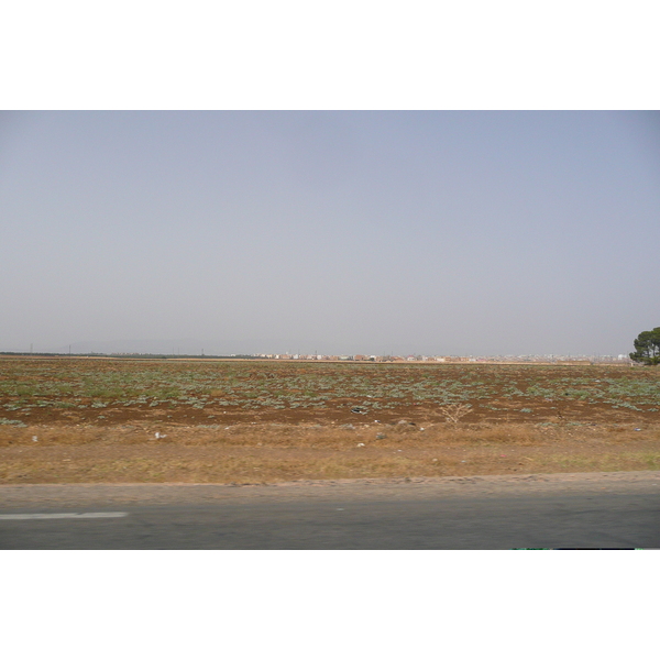 รูปถ่าย โมร็อกโก(Morocco) ถนนจากเฟสไปราบัต(Fes to Rabat Road) 2008-07 36