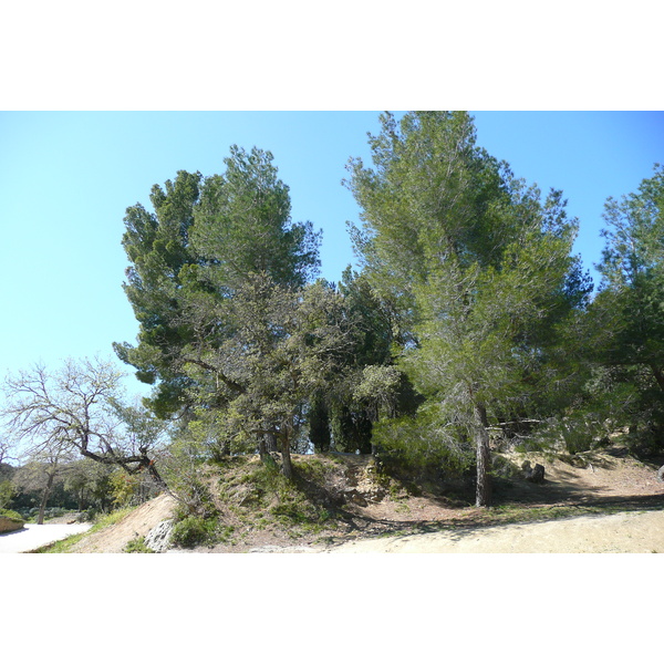 รูปถ่าย ฝรั่งเศส(France) สะพานปงดูการ์(Pont du Gard) 2008-04 84