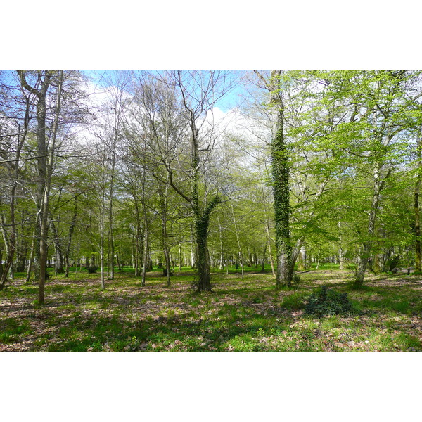 รูปถ่าย ฝรั่งเศส(France) ปราสาทเชอนงโซ(Chenonceau Castle) สวนปราสาทเชอนงโซ(Gardens of Chenonceau) 2008-04 34