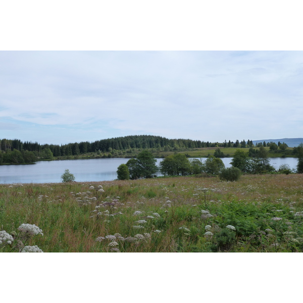 รูปถ่าย อังกฤษ(United Kingdom) ทรอสซักส์(The Trossachs) 2011-07 127