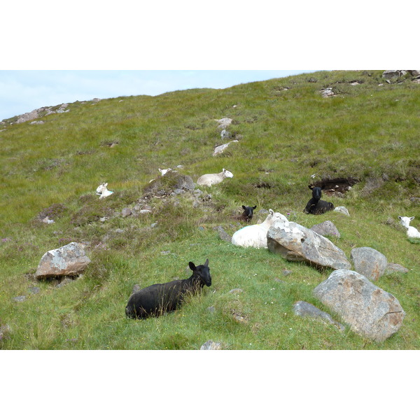 รูปถ่าย อังกฤษ(United Kingdom) สกอตแลนด์(Scotland) แกร์ลอค(Gairloch) 2011-07 52