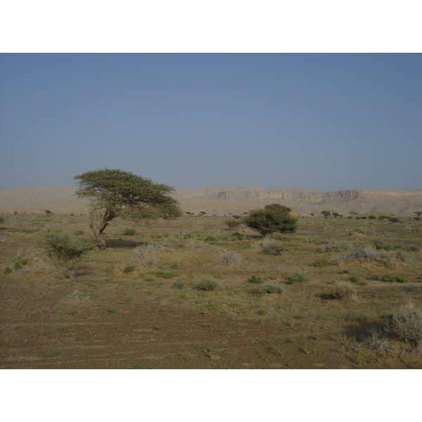 รูปถ่าย โอมาน(Oman) จากบูไมิไปถนนมาฮาดา(Buraimi to Mahada road) 2005-03 1