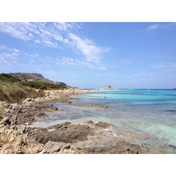 รูปถ่าย อิตาลี(Italy) ซาร์ดิเนีย(Sardinia) แหลมกาโปเดลฟัลโกเน(Capo del Falcone) 2015-06 28