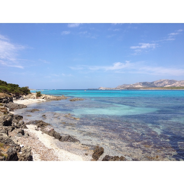 รูปถ่าย อิตาลี(Italy) ซาร์ดิเนีย(Sardinia) แหลมกาโปเดลฟัลโกเน(Capo del Falcone) 2015-06 55