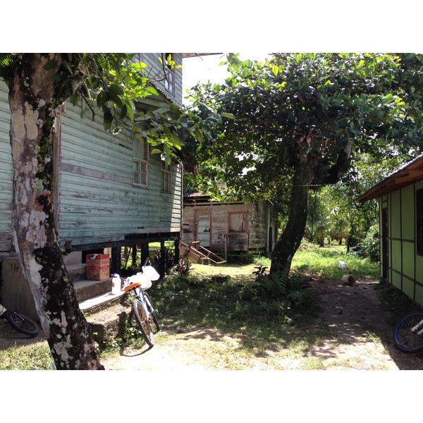 รูปถ่าย คอสตาริกา(Costa Rica) กาอุยตา(Cahuita) 2015-03 226