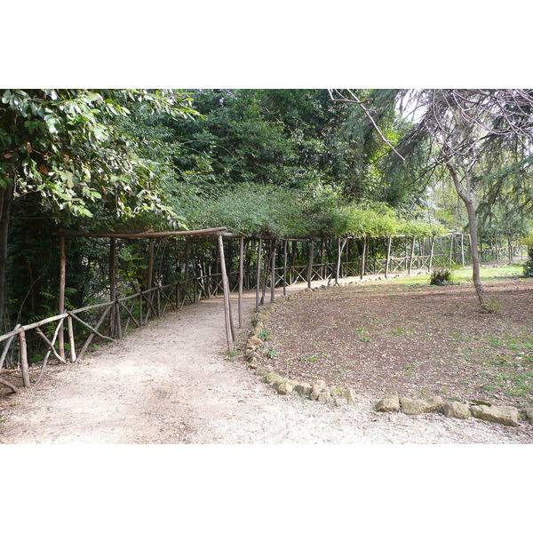 รูปถ่าย อิตาลี(Italy) โรม(Rome) วิลลาชาร์รา(Villa Sciarra) 2007-11 6