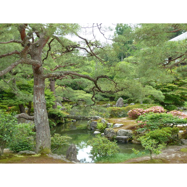 รูปถ่าย ญี่ปุ่น(Japan) เกียวโต(Kyoto) วัดกินกะกุจิ (ศาลาเงิน)(Ginkakuji Temple(Silver Pavilion)) 2010-06 54