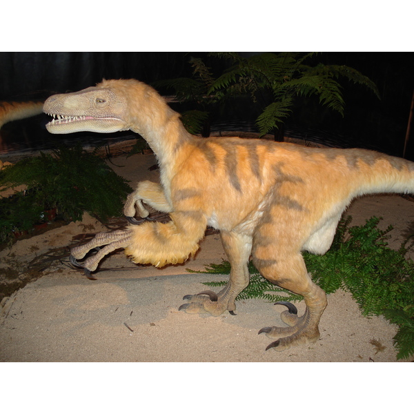 รูปถ่าย ฝรั่งเศส(France) ปารีส(Paris) ปาเลเดอลาเดกูแวร์ต(Palace of Discovery) 2006-04 0