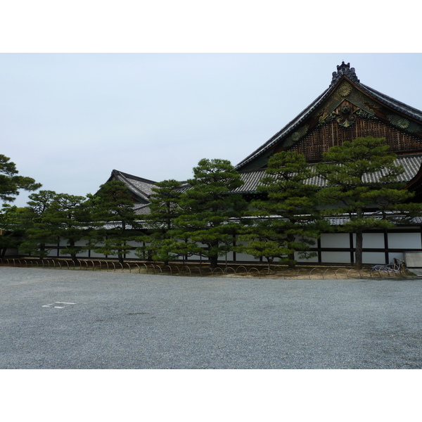 รูปถ่าย ญี่ปุ่น(Japan) เกียวโต(Kyoto) ปราสาทนิโจ(Nijo Castle) 2010-06 98
