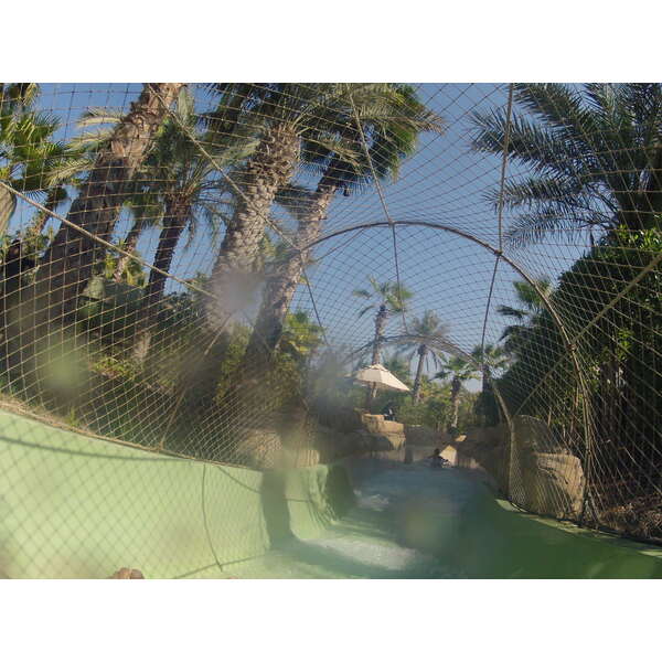 รูปถ่าย สหรัฐอาหรับเอมิเรตส์(United Arab Emirates) ดูไบ(Dubai) สวนน้ำอควาเวนเจอร์ ดูไบ(Dubai Aquaventure) 2012-01 37