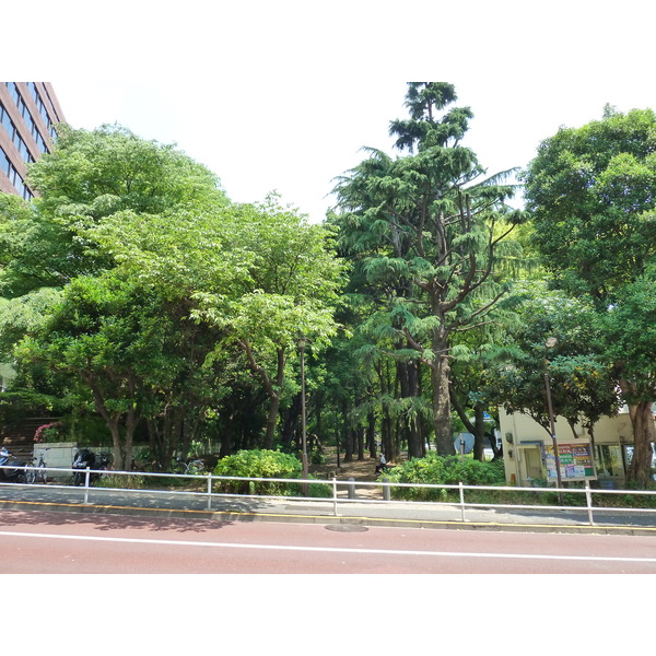 รูปถ่าย ญี่ปุ่น(Japan) โตเกียว(Tokyo) สวนชิบะ(Shiba Park) 2010-06 65
