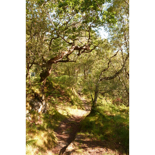 รูปถ่าย อังกฤษ(United Kingdom) สกอตแลนด์(Scotland) เซเลน(Salen) 2011-07 29