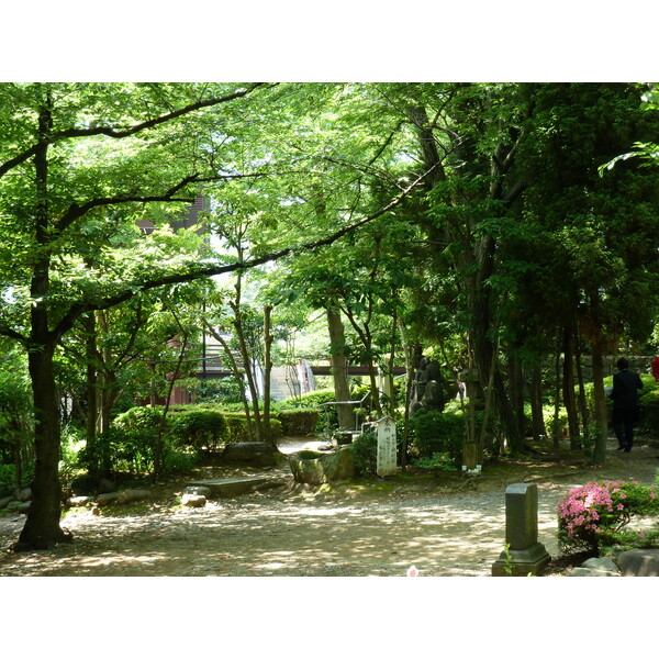 รูปถ่าย ญี่ปุ่น(Japan) โตเกียว(Tokyo) สวนชิบะ(Shiba Park) 2010-06 11