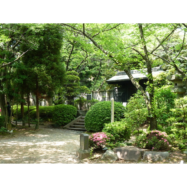 รูปถ่าย ญี่ปุ่น(Japan) โตเกียว(Tokyo) สวนชิบะ(Shiba Park) 2010-06 14