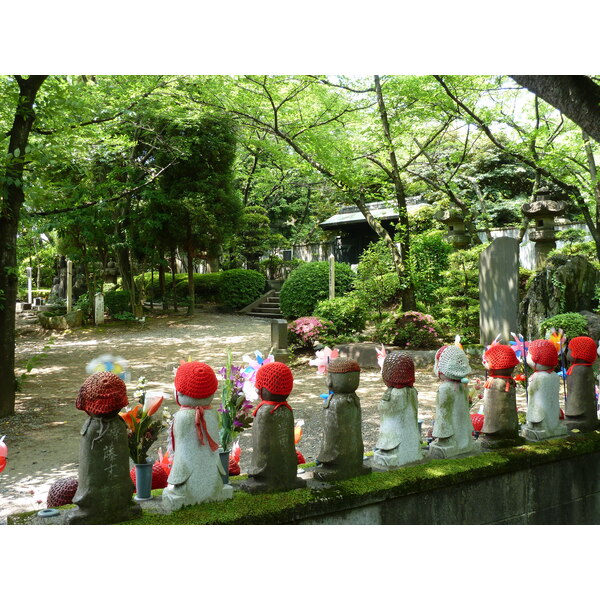 รูปถ่าย ญี่ปุ่น(Japan) โตเกียว(Tokyo) สวนชิบะ(Shiba Park) 2010-06 13